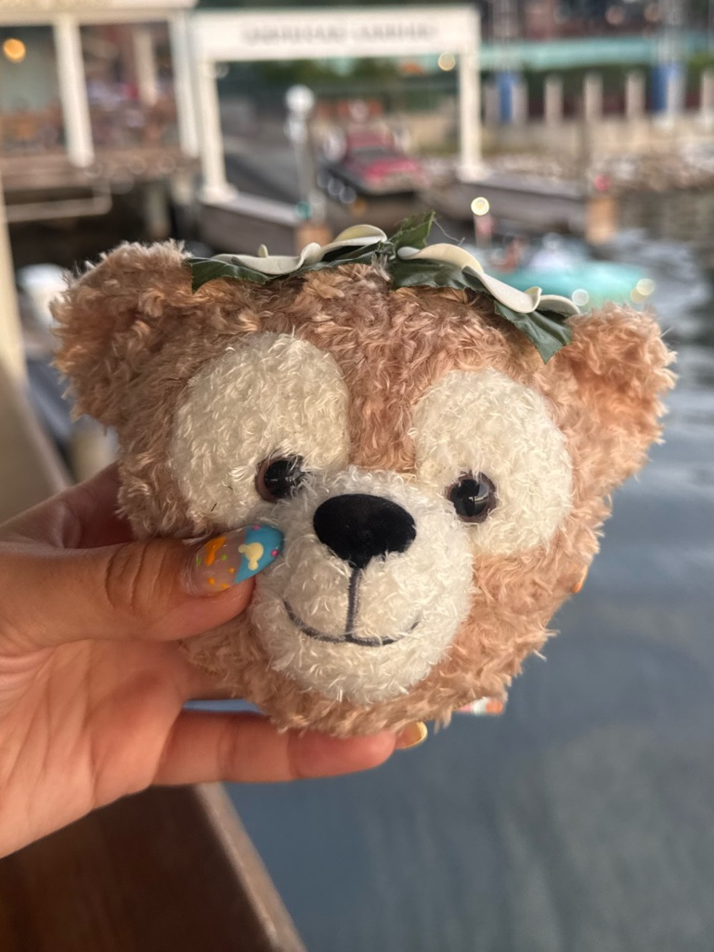 NWT! 2026 Disney Parks Duffy Face Keychain & Tote Bag